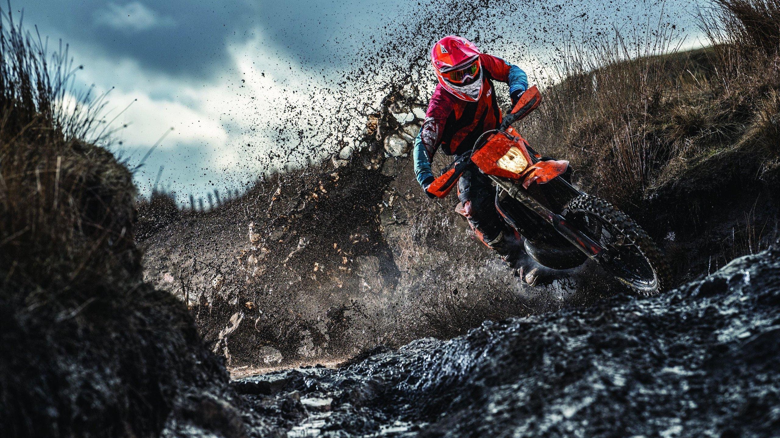 国乒包揽世界杯双冠 新生代主力展现强大统治力